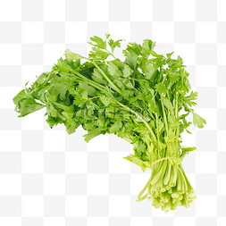 新鲜绿色蔬菜芹菜