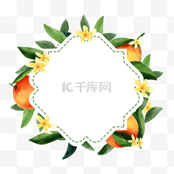 花卉创意图案图片_橙子水果水彩花卉自然边框