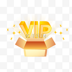 vip金色图片_VIP会员金色标识