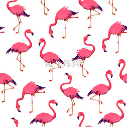 火烈鸟无缝图片_粉红色的火烈鸟图案。