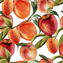 水彩图案与桃子.