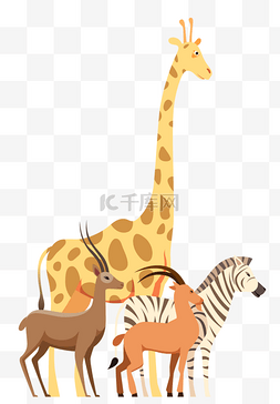 斑马斑马图片_矢量动物长颈鹿斑马