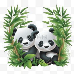 熊猫划船图片_两只可爱的熊猫在竹林里