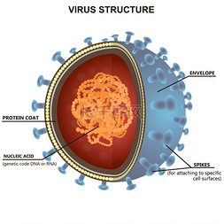 Blue virus cells or bacteria on white backgro