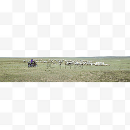 草原羊群图片_草原放牧羊群夏季