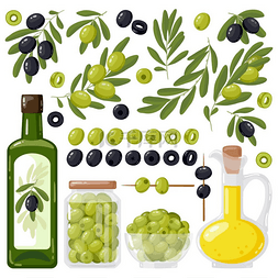 卡通橄榄黑橄榄和绿橄榄橄榄树枝