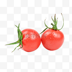 圣女果小番茄