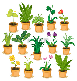 手绘盆栽图片_盆栽的植物和鲜花