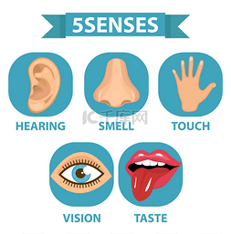 5 种感官图标集。触觉、 嗅觉、 