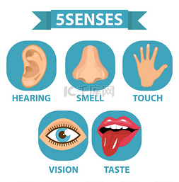 背景视觉图片_5 种感官图标集。触觉、 嗅觉、 