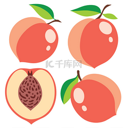 水果切片卡通图片_矢量桃子集合