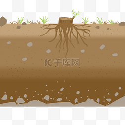 植物土壤图片_土壤里的树根