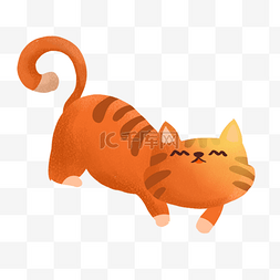 橘色的小猫