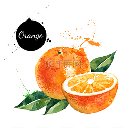 橘子手绘橘子图片_手绘水彩绘画橘子