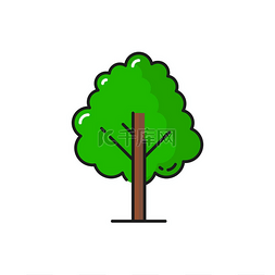 绿树图标、森林或园林植物、橡树
