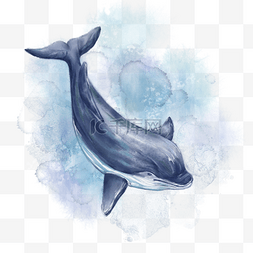 水彩晕染海水鲸鱼