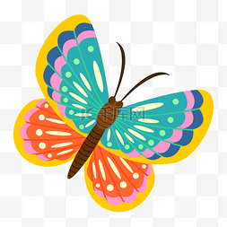 蝴蝶翅膀花纹图片_花纹漂亮的多彩蝴蝶