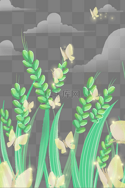 小满芒种绿色小麦麦子十四节气蝴