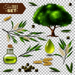 化妆品瓶子图片_植物写实集与茶树花叶和瓶子与油