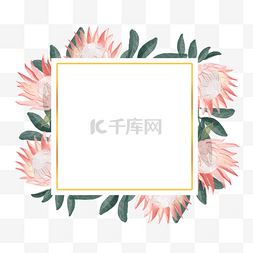 水彩平铺图片_普罗蒂亚花卉水彩正方形粉色边框