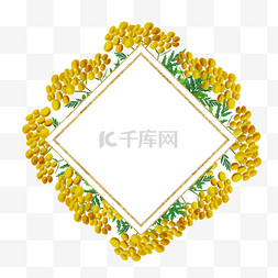艾菊花卉水彩方形边框