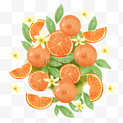 水彩平铺图片_橘子水彩风格水果橙色平铺