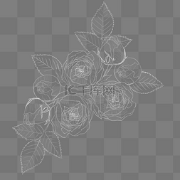 玫瑰花瓣组成的心形图片_白色线描玫瑰底纹