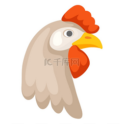 棕色鸡头的插图美食食品和农业行