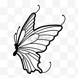 漂亮翅膀线稿蝴蝶图案