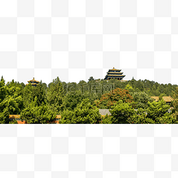 北京景山公园植物