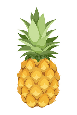 卡通手绘植物矢量图片_菠萝。矢量图.