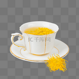 菊花茶干菊花图片_金丝皇菊菊花茶