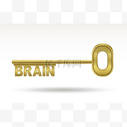 脑血管健康图片_脑-金钥匙