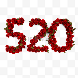 玫瑰组成的520字体