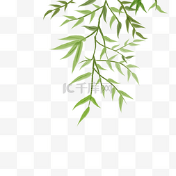 竹节线稿图片_绿色竹子竹叶