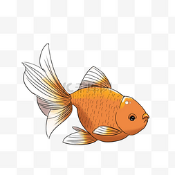 白尾橙红金鱼剪贴画