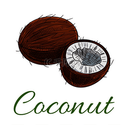 椰子用于水果产品标签包装贴纸杂