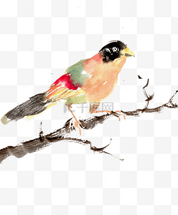 彩色水墨图片_树枝上的小鸟
