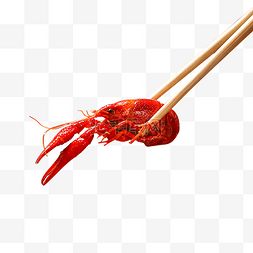 筷子夹龙虾餐饮美食龙虾小龙虾传