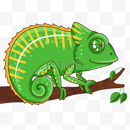 爬虫类图片_变色龙卡通风格绿色可爱带斑纹