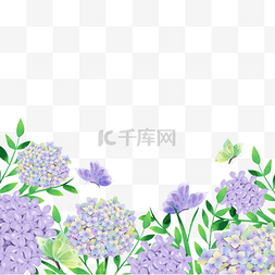 紫色水彩花卉图片_绣球花卉紫色水彩蝴蝶边框