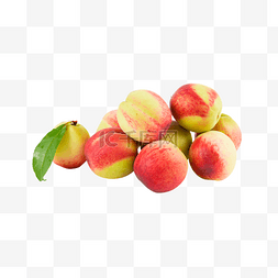 新鲜水果毛桃