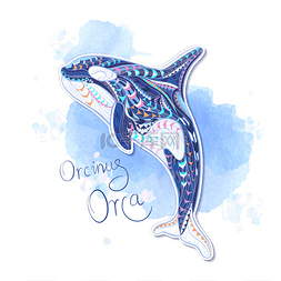 白色鱼纹图片_Patterned orcinus orca