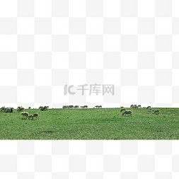 草原羊群图片_草原牧场夏季
