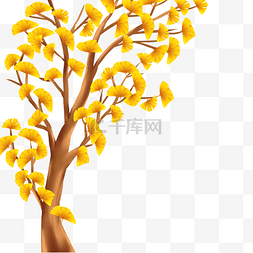 秋天大树银杏树植物金秋叶子树叶