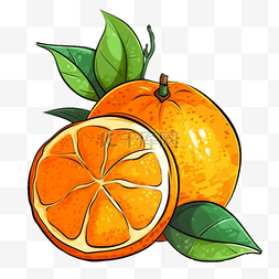扁平插画手绘切开的橙子