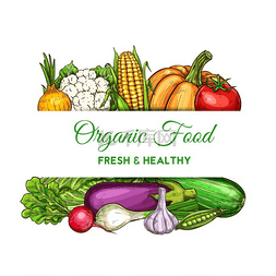 蔬菜和农场蔬菜、天然食品和杂货
