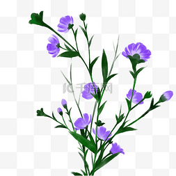 紫色花草花枝