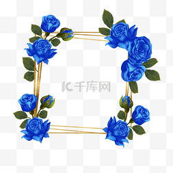 蓝色植物玫瑰花蓝金花卉花朵