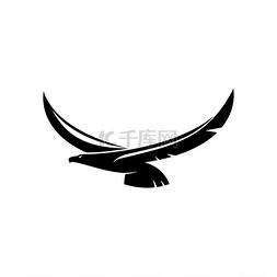 黑色羽毛黑色羽毛图片_长着宽大翅膀的飞鹰是纹章的象征